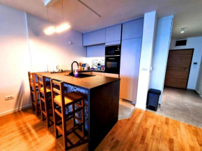 Airport Penthouse Apartments